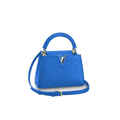 LOUIS VUITTON CAPUCINES MINI M95509 (21*14*8cm)